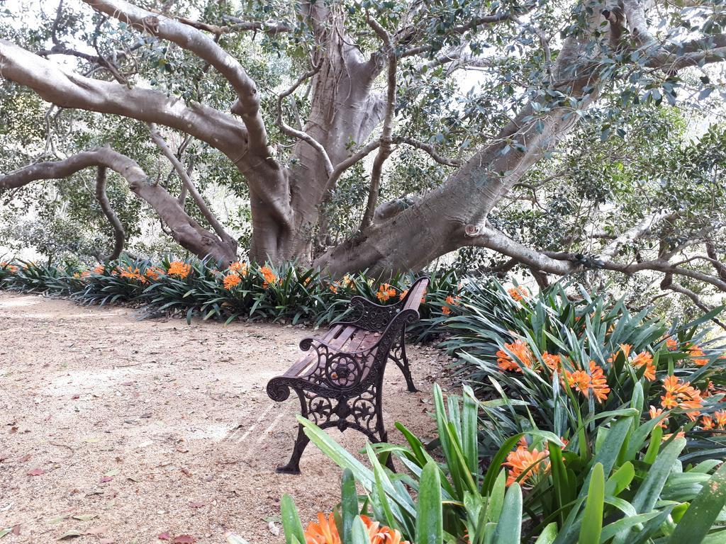 Plynlimmon-1860 Heritage Cottage Or Double Room With Orchard View Kurrajong Exterior photo